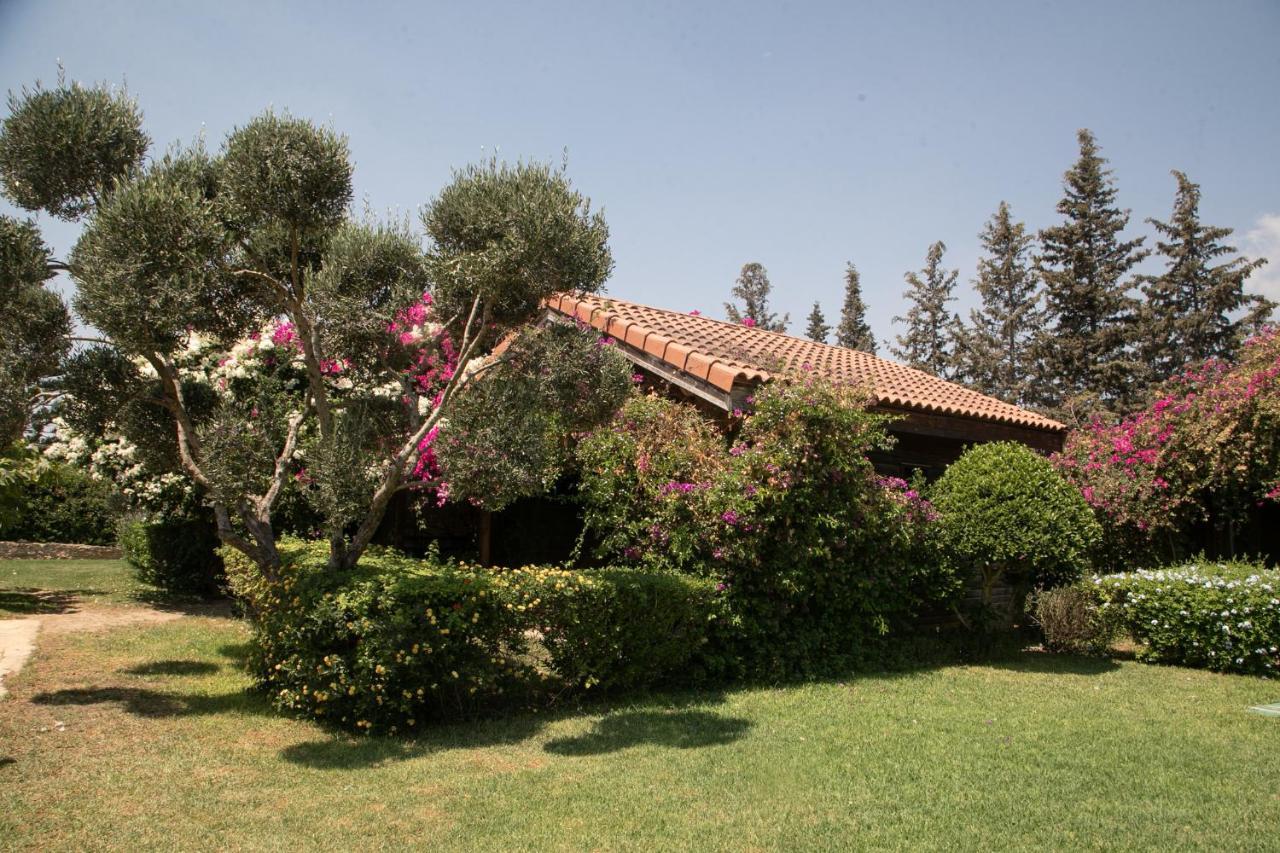 Dar Zitouna Sousse-Tunisie Ngoại thất bức ảnh