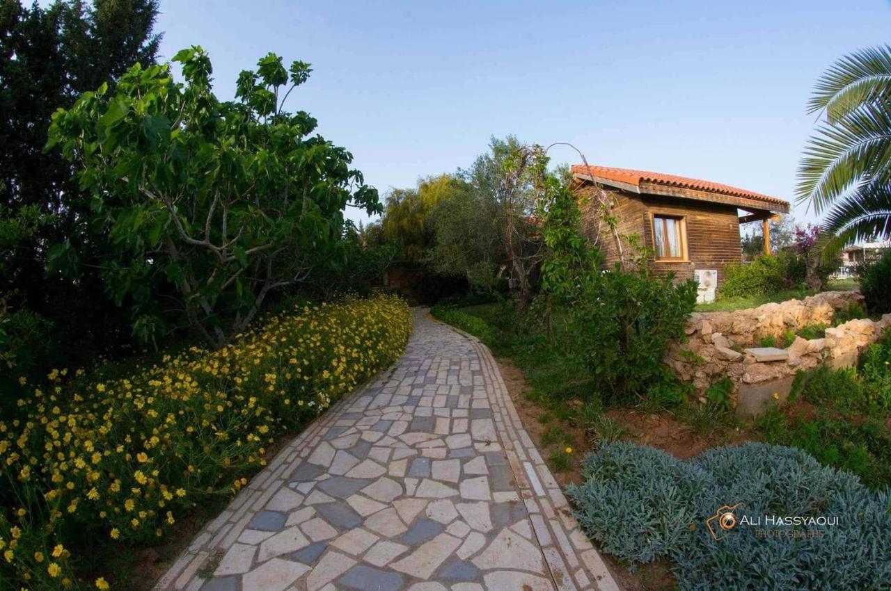Dar Zitouna Sousse-Tunisie Ngoại thất bức ảnh